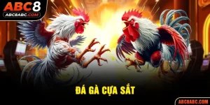 Đá gà cựa sắt