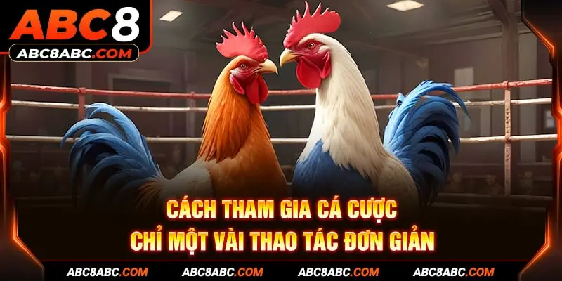 Cách tham gia cá cược chỉ một vài thao tác đơn giản